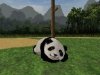 panda11_cg_jul14_fjdfsu_879986.jpg