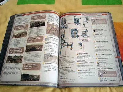 5.webp