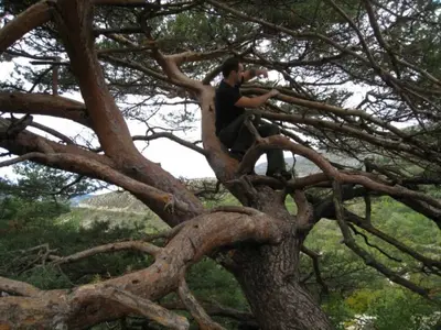 Saint Andre les Alpes - Moustiers Sainte Marie 096 [640x480].webp