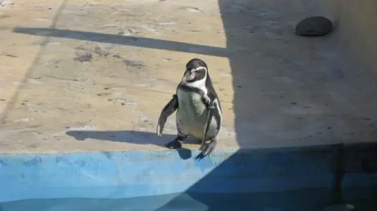 Marineland 005 [640x480].webp