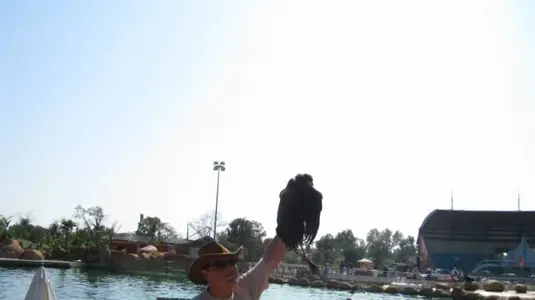 Marineland 056 [640x480].webp