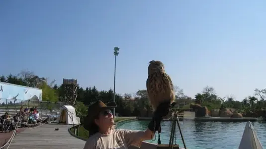 Marineland 061 [640x480].webp