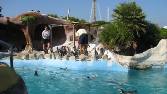 Marineland 003 [640x480].webp