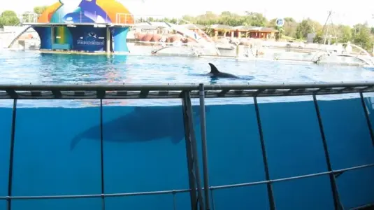 Marineland 025 [640x480].webp