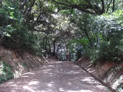 DSC00784.webp DSC00784.webp