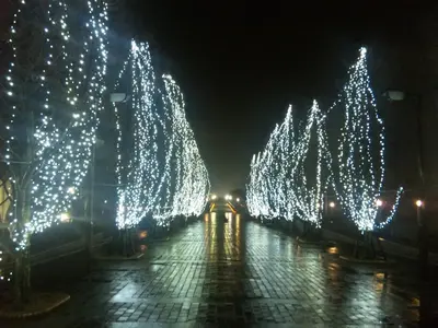 SH380053.webp SH380053.webp