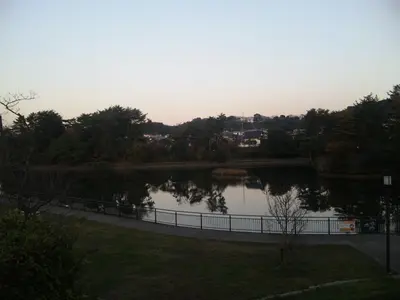 SH380029.webp SH380029.webp