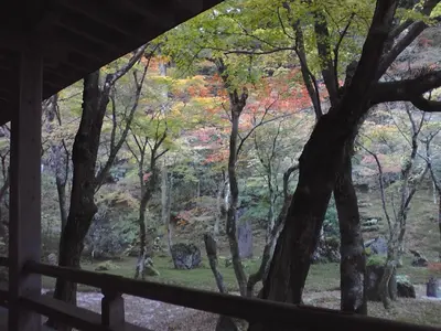 ST330085.webp ST330085.webp