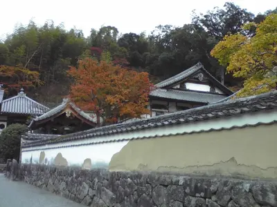 ST330102.webp ST330102.webp