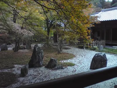 ST330088.webp ST330088.webp