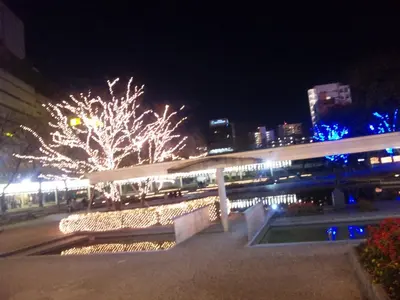 SH380081.webp SH380081.webp