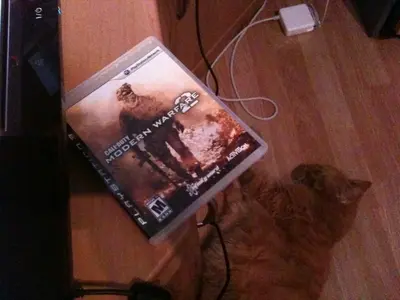 IMG_0239.webp IMG_0239.webp