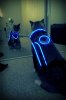 tron-cat-9849-1293298128-1.jpg