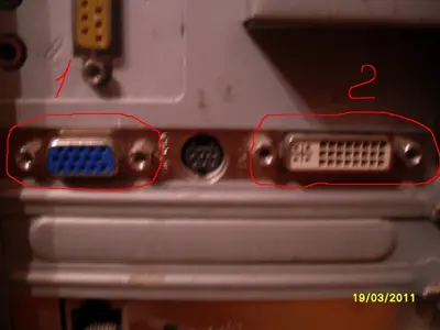 1.webp