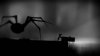 limbo-spider--article_image.jpg