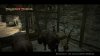 dragons-dogma-screenshot.jpg