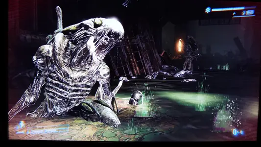 P1000299.webp P1000299.webp