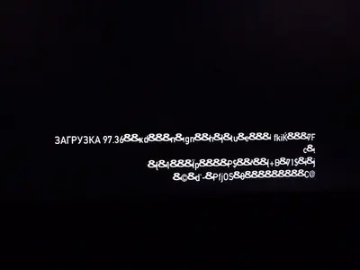 P1140894.webp