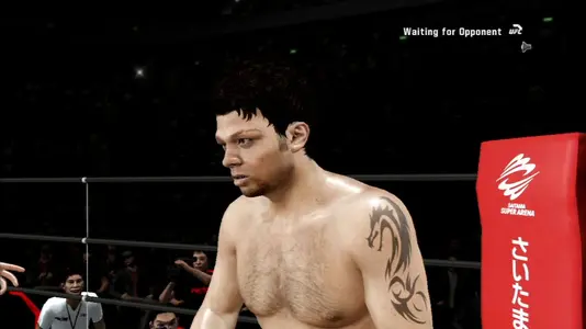 ufc3_01.webp