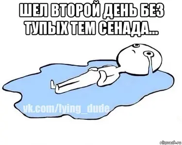 risovach.ru (2).webp