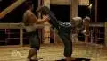 48728_929599_20060508_screen004_qjgenth.webp