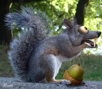 239135ejLI_w.webp