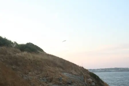 2015-08-07 030.webp 2015-08-07 030.webp