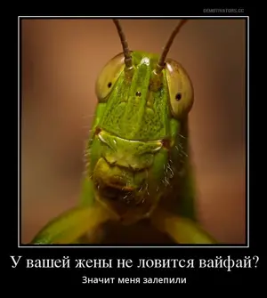 tmp_prew_57neph086glmsq2i.webp