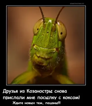 tmp_prew_cmqcwckp9orshgqx.webp