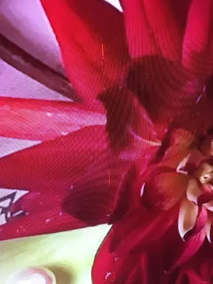 IMG-20180219-WA0000.webp IMG-20180219-WA0000.webp