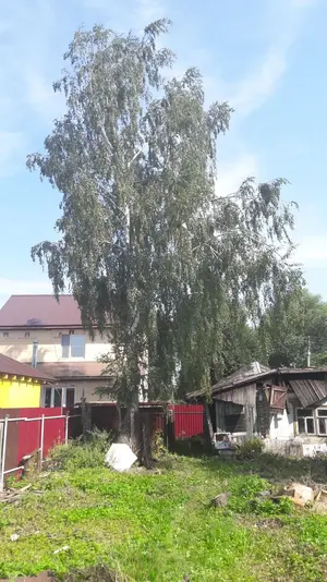 20180804_103348.webp 20180804_103348.webp