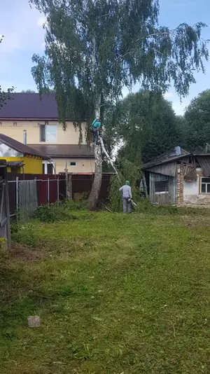 IMG-20180805-WA0001.webp IMG-20180805-WA0001.webp