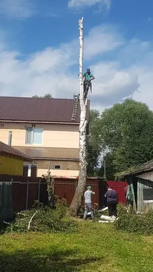 IMG-20180805-WA0003.webp IMG-20180805-WA0003.webp