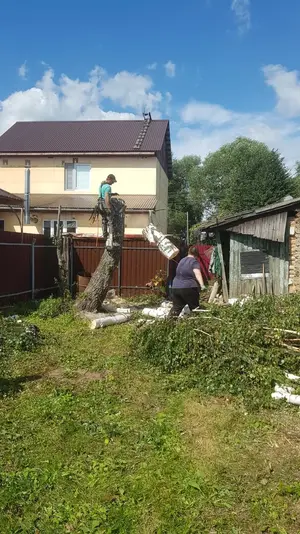 IMG-20180805-WA0002.webp IMG-20180805-WA0002.webp