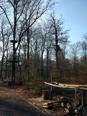 IMG_20181117_095214.webp
