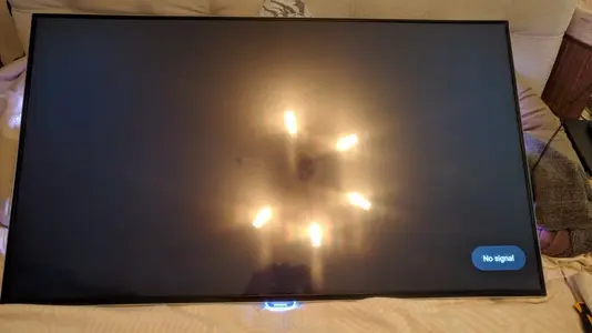 MVIMG_20190126_132631_новый размер.webp