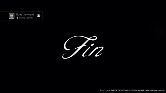 DQ11 Platina-2.webp
