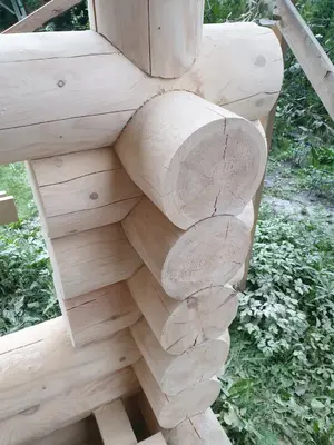 20190723_194527.webp 20190723_194527.webp