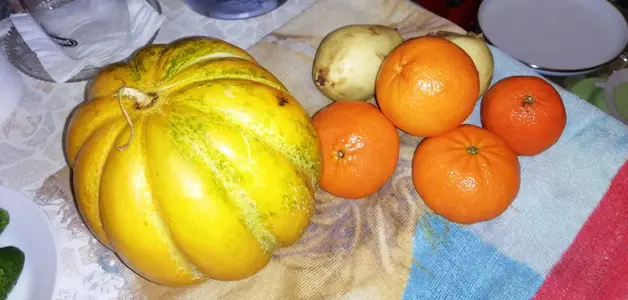 IMG_20190928_194013.webp