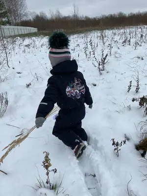 IMG-20191103-WA0006.webp