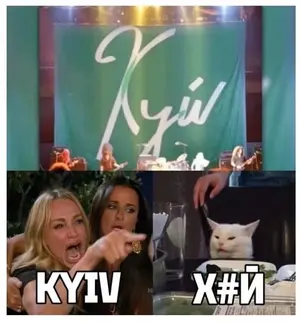 LYpg-HpnB7Y.webp