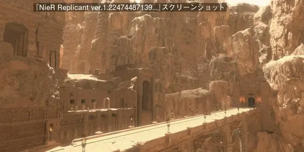 5.webp