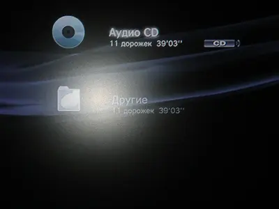 acd.webp