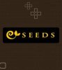 seeds080_screen.jpg