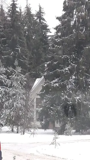 WhatsApp Image 2021-01-04 at 22.17.56.webp