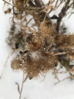 WhatsApp Image 2021-01-04 at 22.23.17 (1).webp