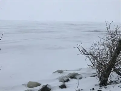 WhatsApp Image 2021-01-04 at 22.23.17 (2).webp