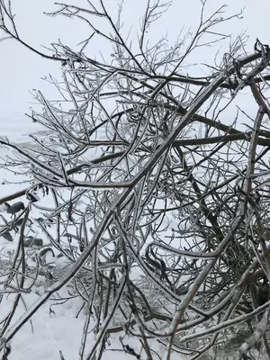 WhatsApp Image 2021-01-04 at 22.23.17 (3).webp