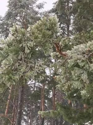 WhatsApp Image 2021-01-04 at 22.23.17 (4).webp