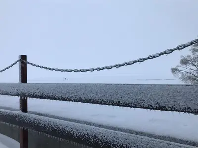 WhatsApp Image 2021-01-04 at 22.23.17 (5).webp